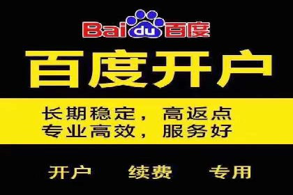 百度竞价推广实战：案例分析与优化策略